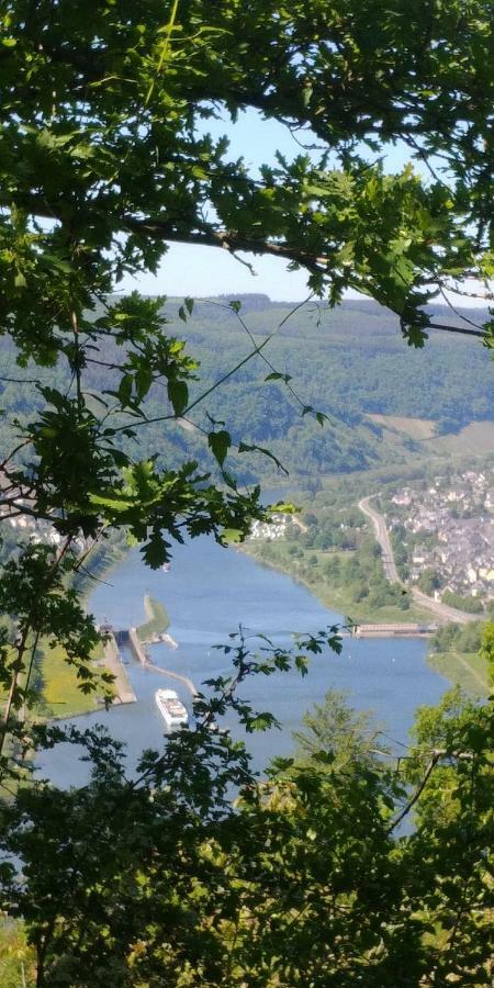 Ferienhaus Moselglueck เอนเคิร์ช ภายนอก รูปภาพ